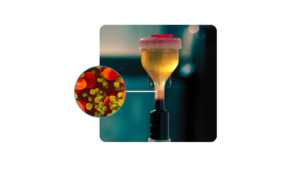 Platelet RICH Plasma (PRP)